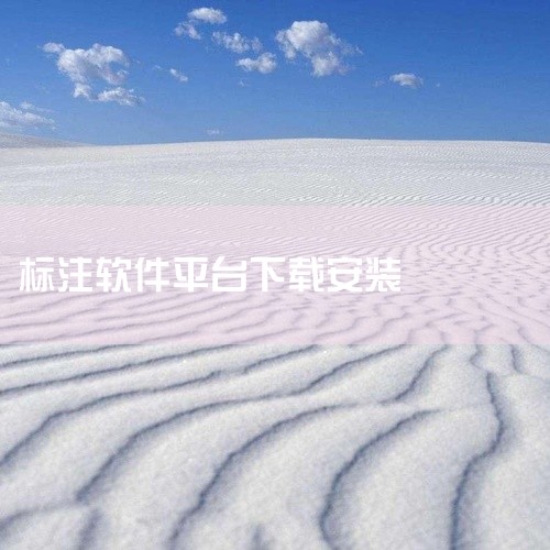 默认选择扫描安装，以便软件自动检测并安装所需的组件，然后点击“下一步”。选择CAD平台 选择你想安装...|
