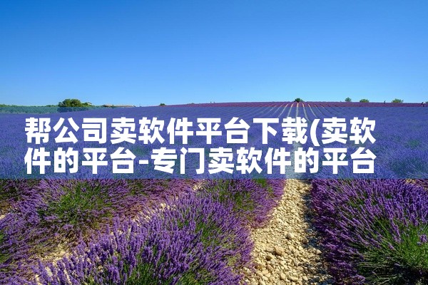 帮公司卖软件平台下载