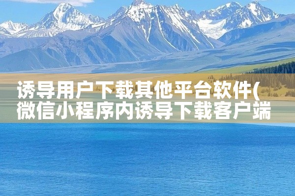诱导用户下载其他平台软件