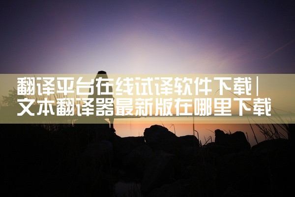 翻译平台在线试译软件下载