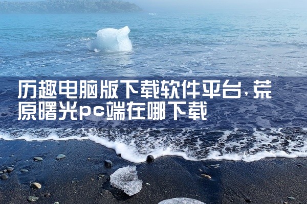 历趣电脑版下载软件平台